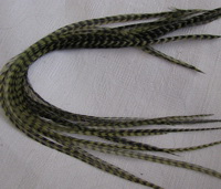 ���� Dry Fly (��� ����� ���) 10 �� ������  ��������� , ������ � 14